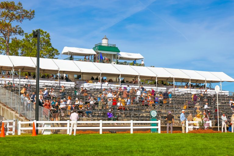 Carolina Cup